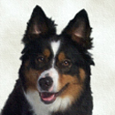 Birky was adopted in 2003
